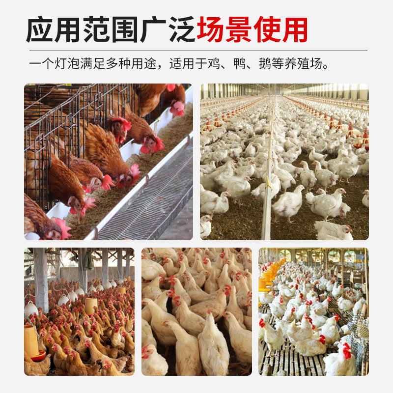 Warm led light bulb e27 screw energy saving light bulb laying hen light chicken house lighting special waterproof yellow light for farms