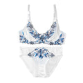 Wholesale cross-border embroidered floral sexy lingerie for women - push-up, anti-sag, breathable bra set (suitable for larger busts)
