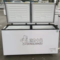 Horizontal freezer commercial large capacity ice maker refrigerator for home freezing and freshness dual temperature freezer copper tube refrigeration display