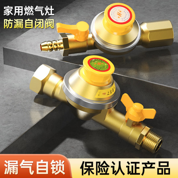 Factory direct hair natural gas self-closing valve 2.5 large flow wall-hung boiler water heater 2.0 gas pipeline safety valve