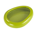 Reusable fruit and vegetable crisper boxes - avocado, lemon, tomato, onion - hot-selling new arrivals for cross-border e-commerce, wholesale direct from manufacturer