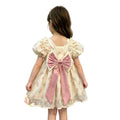summer new arrival: baby girl's lace mesh floral dress with cute big bow - sweet and adorable princess dress