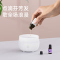 2023 aroma diffuser desktop usb essential oil diffuser indoor fragrance machine aromatherapy humidifier silent design for home