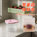 Onion, ginger, and garlic crisper food grade refrigerator storage crisper kitchen chopped green onion preparation packaging pp crisper box for home