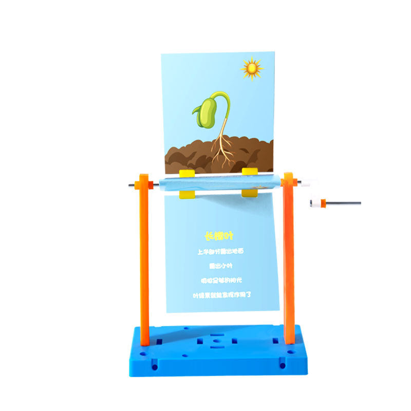 Plant growth animation machine, primary school students DIY handmade kindergarten, science and technology small production, cutting-edge science and education experiments