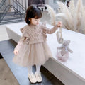 Winter kids' sweater dress set: girls' princess dress with vest - two-piece outfit for baby girls, princess style
