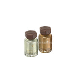 Tiktok viral car air freshener - fast odor elimination, long-lasting fragrance, premium interior car fragrance & decor