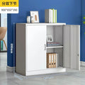 Office filing cabinet, metal cabinet, low cabinet, financial information file cabinet, floor-standing lockable storage cabinet, computer desk side cabinet