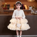 Ready-to-ship, hot-selling girls' dresses for winter, new  styles in a chanel-inspired design, featuring a puffy skirt and tiered cake skirt for children