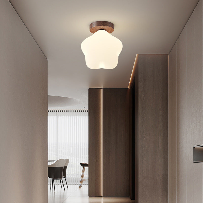 Walnut color star aisle light corridor entrance entrance balcony light full spectrum room rabbit wall light ceiling light