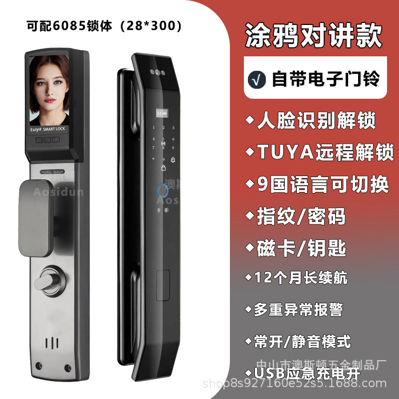 smart lock face recognition fingerprint lock visual cat eye password lock anti-theft door remote management manufacturer spot