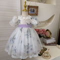 【clearance】girls' dress  summer super fairy mesh lace peter pan collar tutu princess dress