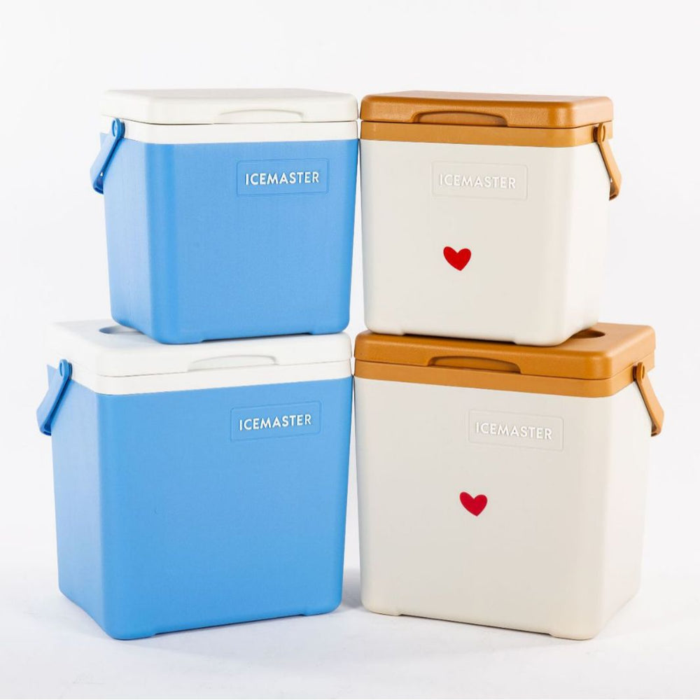 Ice master takeaway insulated box outdoor car portable for home seafood food styrofoam fresh box refrigerator box