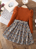 autumn new arrivals: european & american style long-sleeve knitted pullover dress for girls - princess dress for toddlers and young children