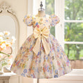 European and american style girls' chic butterfly princess dress - kids' puff sleeve sweet floral sundress for little girls