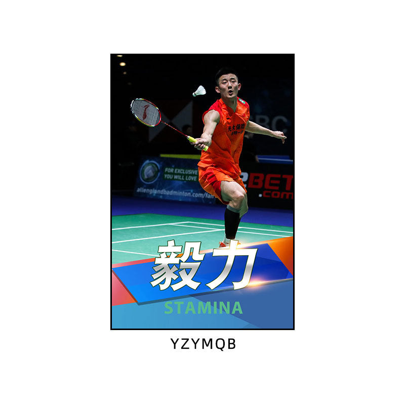 Badminton hall star poster mural Li Zongwei hanging painting ball sports stadium Lin Dan Chen Yufei decorative painting