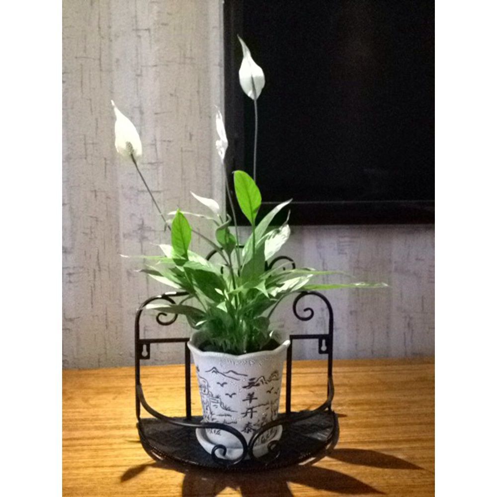 Display rack kitchen storage rack bathroom toilet wall hanging flower rack soap rack towel rack perfume rack bathroom