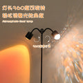 Water ripple atmosphere lamp popular double-headed sunset lamp floor lamp living room live broadcast room background sunset light manufacturer direct supply