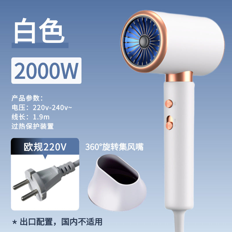 hair dryer for home hairdressing shop special high-power high-wind hair care hair dryer factory direct sales wholesale