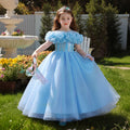 Girls' formal dress - premium openwork birthday princess gown -  new arrival - wholesale single piece - puffy flower girl dress
