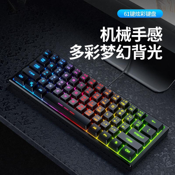 Wired typing mechanical feel keyboard FV61 e-sports game RGB colorful luminous film portable keypad