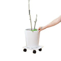 Movable universal wheel flower pot tray with wheel bottom roller bottom plate water tray pad pulley bonsai bracket potted plant