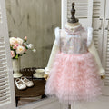 Girldress chinese style new year's greetings dress winter tang suit birthday dress fleece-lined tutu skirt princess dress