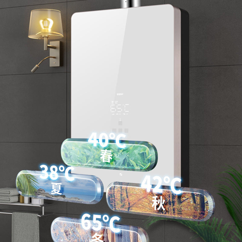 Wholesale natural gas gas water heater for home thermostatic forced exhaust liquefied gas coal gas balanced 16l zero cold water