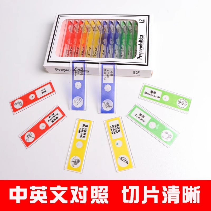 Source kids microscope lens specimen animal plant insect biological slice scientific small production experiment play puzzle