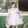 Girls' high-end dresses, cross-border foreign trade, new large skirt flower girl wedding dress, host piano performance, gorgeous in stock