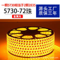 5730 double row 72 beads yellow light