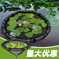 popular floating island plant protector fish barrier protective cover pond garden water feature anti-fall leaf net cover green plants