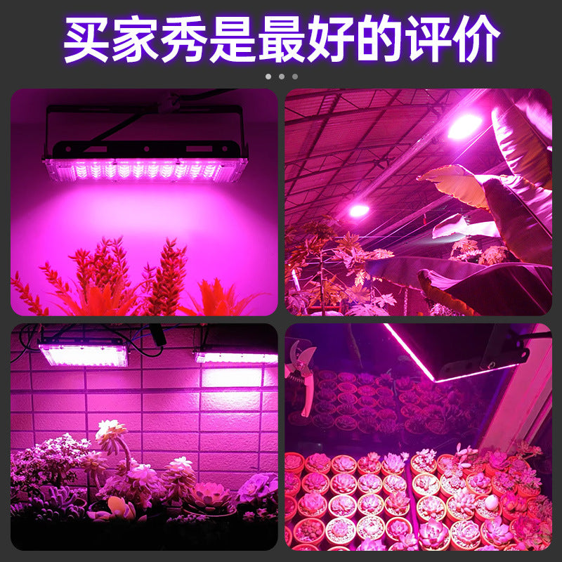 LED new plant lighting UV powder light LED fluorescent stage ambient light UV purple curing lamp
