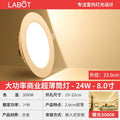 Special offer丨8 inch 24w warm light丨opening 19-22cm