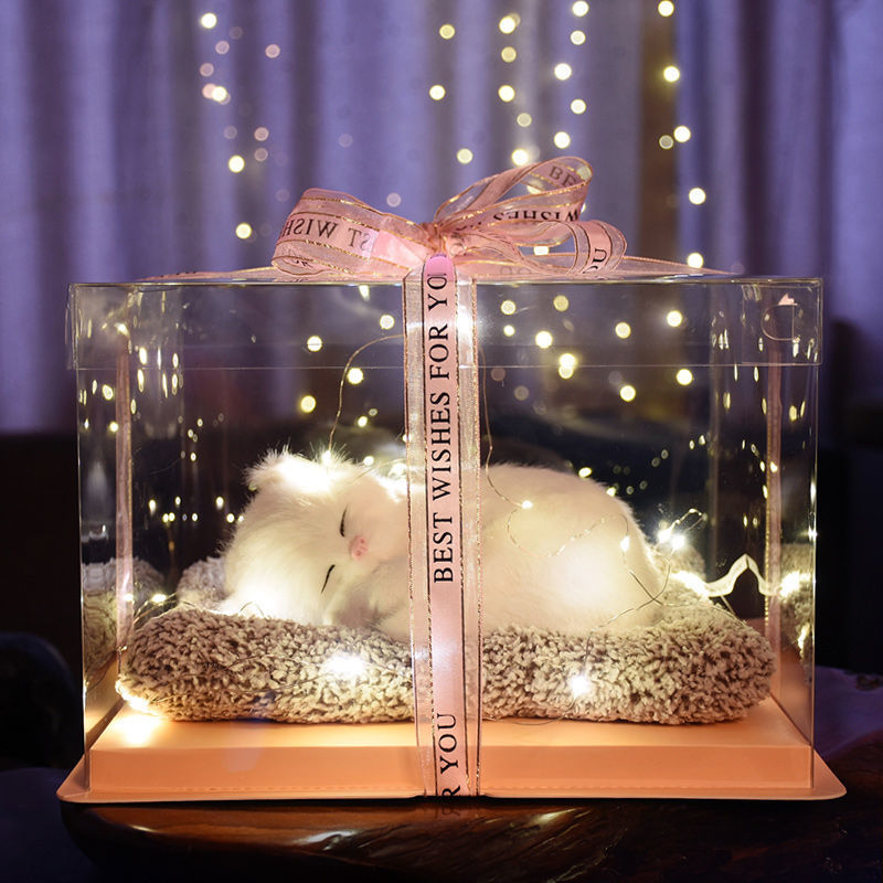 Birthday gifts for girls on Children's Day, children's girlfriends, girlfriends, simulated cats to accompany dolls 61 gift boxes