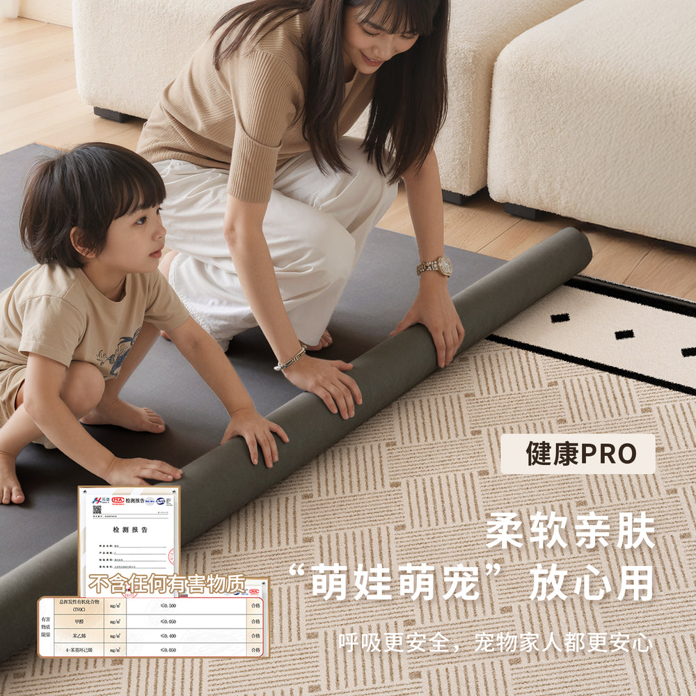 Carpet living room removable and washable double layer easy to care for machine washable large area full cover light luxury high-end bedside floor mat sound insulation