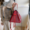 This year's popular women's bags: 2025 new korean-style fashionable studded, trendy, hand-held, crossbody, triangular small square bags