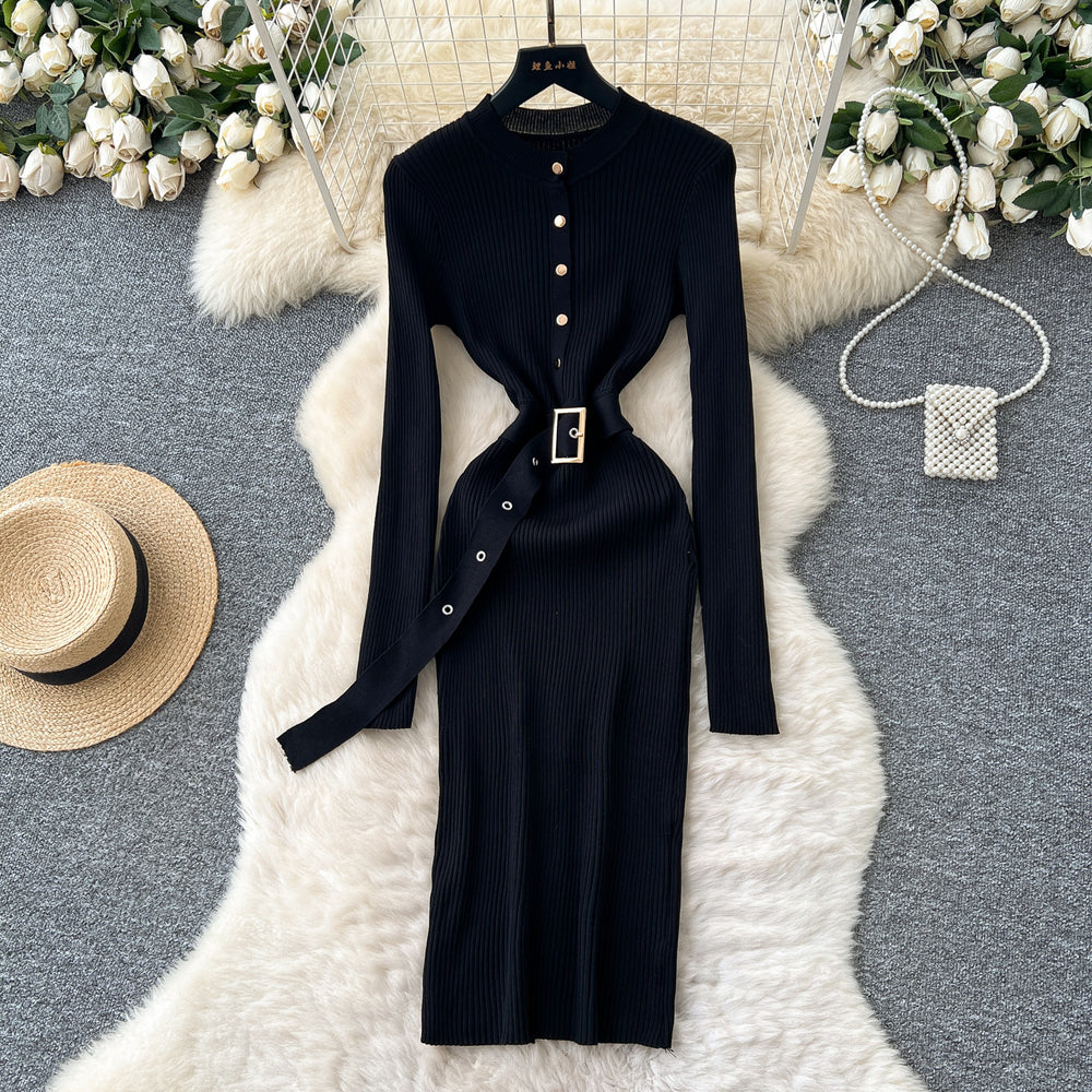 Minimalist chic knit long sleeve dress - women's autumn belted slim fit elegant mature style maxi dress