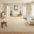 Carpet living room light luxury classy no-wash and wipeable  new arrival cream style winter sofa simple thickened floor mat