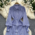 K-style chic style age-reducing stripesshirtdress women's long sleeves single-breasted slimming look longcasual skirt