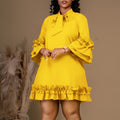 European and american plus size women's clothing  spring new arrivals: solid color, elegant, ruched sleeve, tie-waist, ruffle hem dress - export quality
