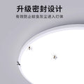Led ceiling light - minimalist modern style for master bedroom, living room, hallway, kitchen, balcony - eye protection main lighting