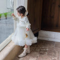 Girls' dress  autumn sweet & stylish little girl long sleeve first birthday party dress princess dress trendy skirt