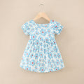 Blue flower princess dress