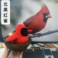 Cat toy amazon cross-border electric simulation bird rechargeable cat self-healing sound shake bird stuffed toy