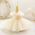 New in stock: tutu cake dress - floral princess gown for baby girls, perfect for birthdays!