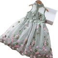 Korean style children's clothing: new summer embroidered girls' dress - stylish long-sleeved princess dress for kids