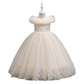 Wholesale european and american style girls' formal dresses for export, suitable for mid-to-large children, direct from manufacturers. cross-border princess dresses, custom flower girl dresses, long dresses wholesale