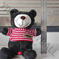 Wholesale teddy bear plush toys, kids' pillows, rag dolls, night market ring toss gifts, promotional giveaways for street vendors