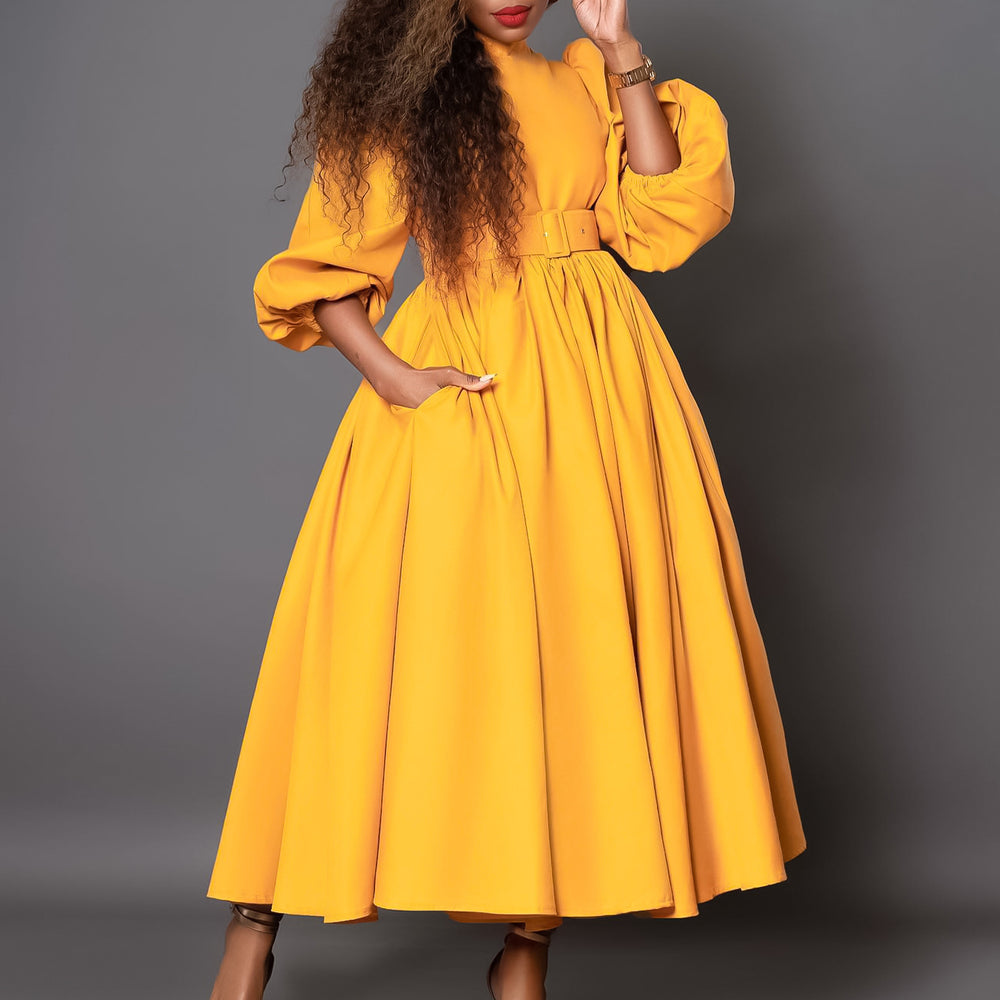 D491  women's winter new arrival: semi-high neck, long sleeve, cinched waist, elegant, slimming, a-line foreign trade dress